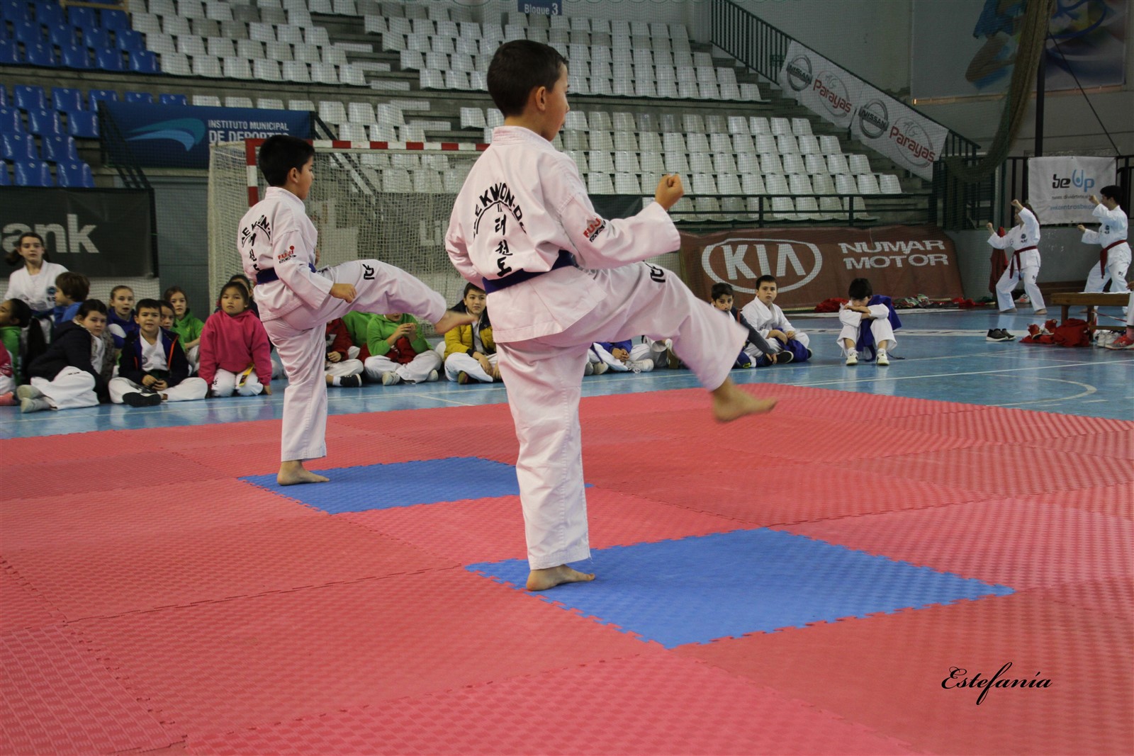 Taekwondo (163).jpg